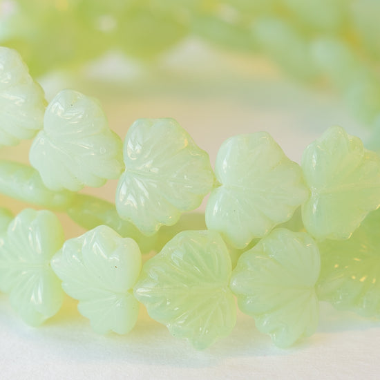 13mm Maple Leaf Beads -  Light Opaline Green - 10 or 20 Beads