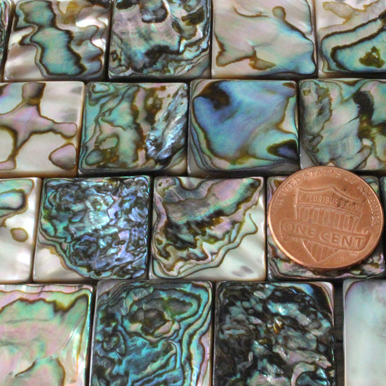 Load image into Gallery viewer, 19mm Abalone Tile Beads - 16 Inch Strand
