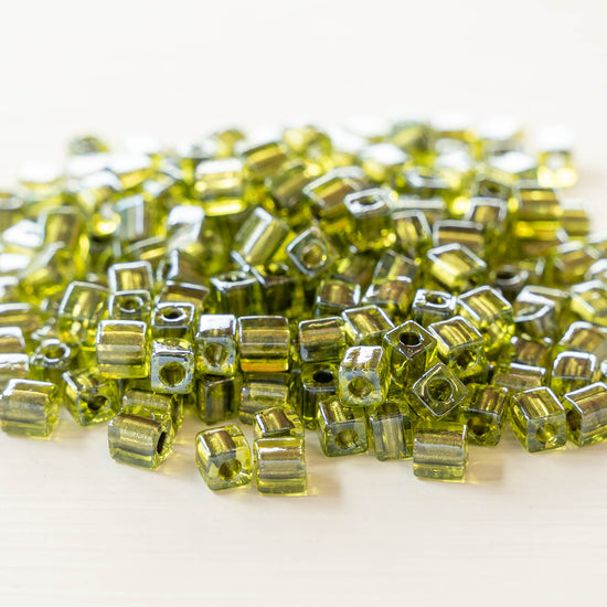 4mm Miyuki Cube Beads - Olive Lined Chartreuse - Choose Amount