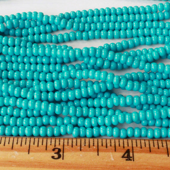 Size 6 Seed Beads - Turquoise - Choose Amount