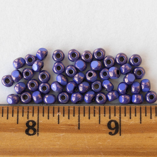 Size 6 Tri-cut Beads -  Opaque Lapis Lazuli Blue With Bronze - 50 beads